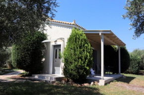 Vassia 2, Thermisia